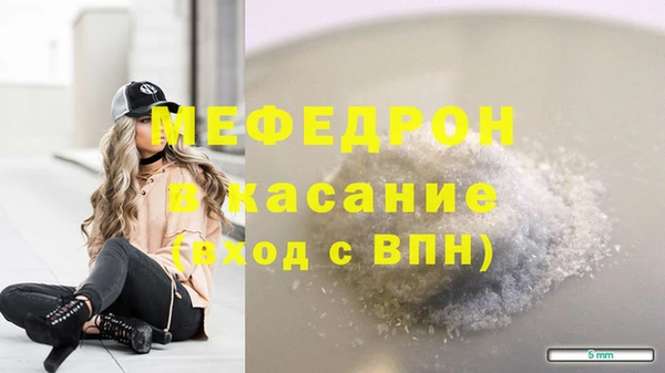 индика Вяземский