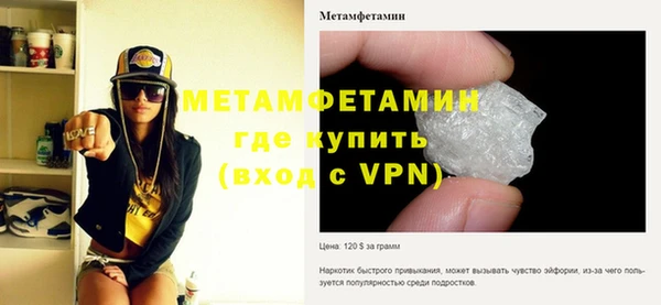 индика Вяземский