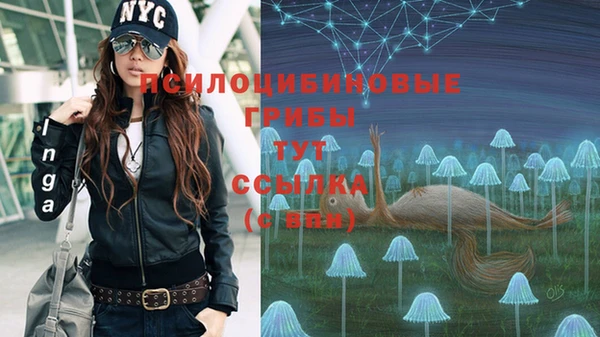 ешки Вязьма