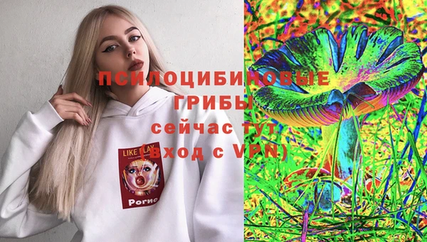 ешки Вязьма