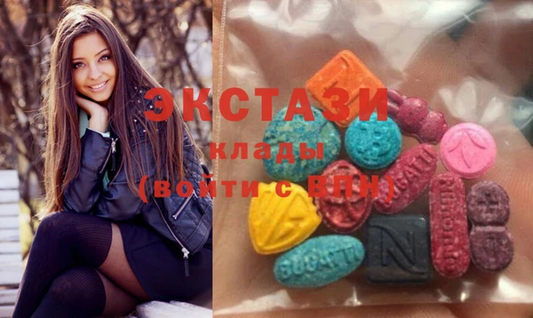 индика Вяземский