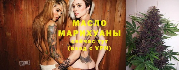 индика Вяземский