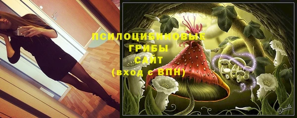 индика Вяземский