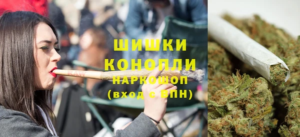 индика Вяземский
