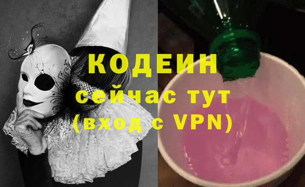индика Вяземский
