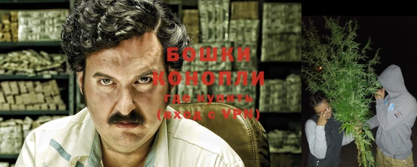 ешки Вязьма
