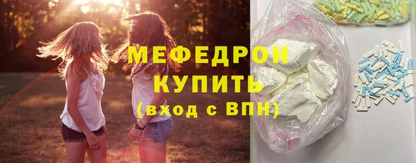 индика Вяземский