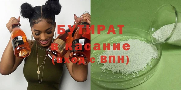 индика Вяземский