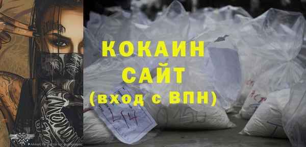 индика Вяземский